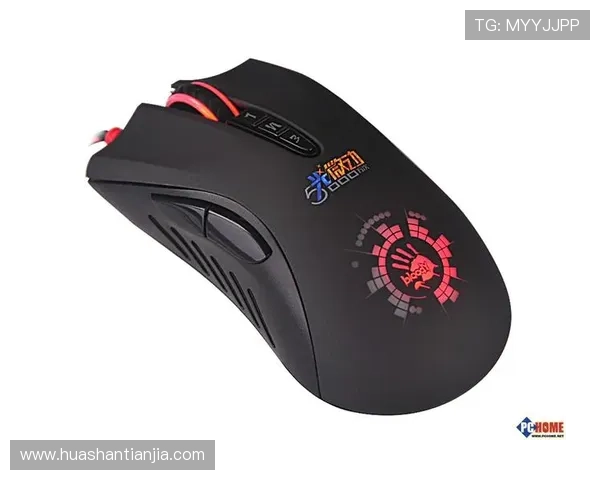 如何安全登录k8娱乐游戏网页登录版，确保账号信息安全与游戏顺畅体验